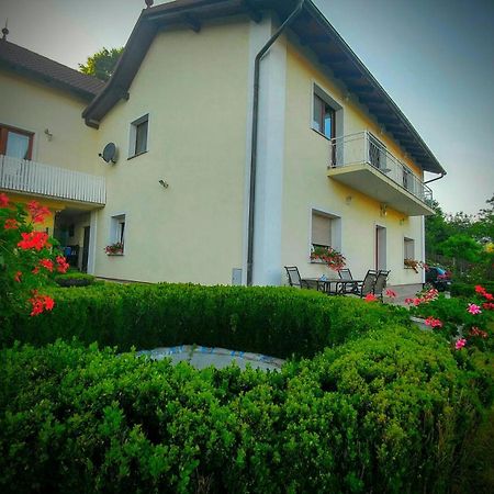 Apartments Ina Rogaška Slatina Zewnętrze zdjęcie