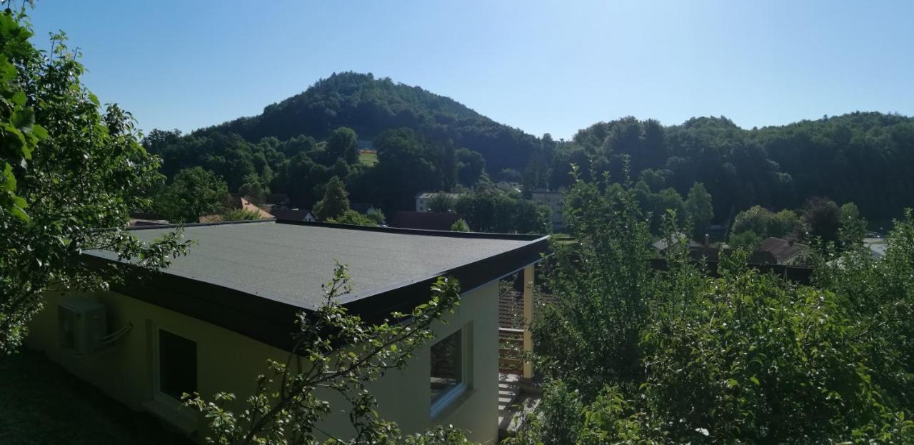 Apartments Ina Rogaška Slatina Pokój zdjęcie