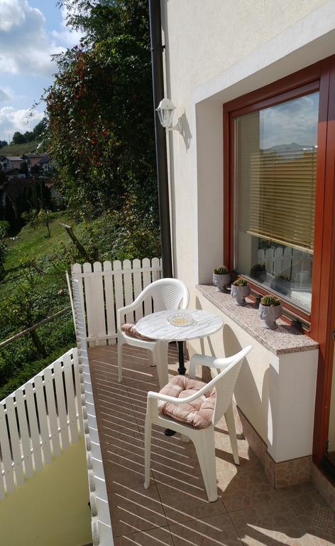 Apartments Ina Rogaška Slatina Zewnętrze zdjęcie